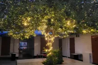 Taean Mammose Pension Hotels in 