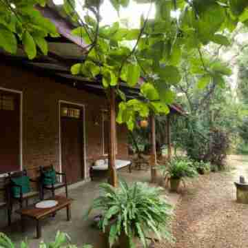 Vihanga Village - Jungle Retreat in Dambulla Rooms