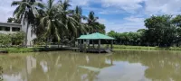 Mangrove Haven Resort - 2-Star