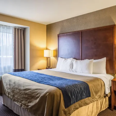 Comfort Inn