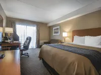Comfort Inn Hotels in Chilliwack