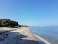 Evita Flamingo - 2-نجوم