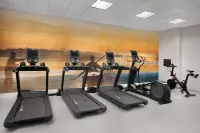 Hilton Garden Inn Dallas Lewisville - Gym