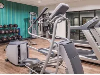 Holiday Inn Express & Suites LA PLACE by IHG Hotels in Laplace
