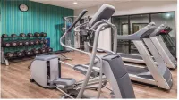 Holiday Inn Express & Suites LA PLACE by IHG - Træningscentre