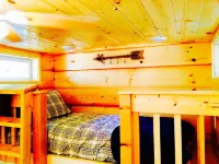 Discover Serenity at TinyFox Cabin: Your Perfect Getaway Surrounded by Nature - 2-Star
