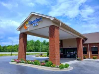 Comfort Inn Near Downtown & Blue Ridge Pkwy - piscine