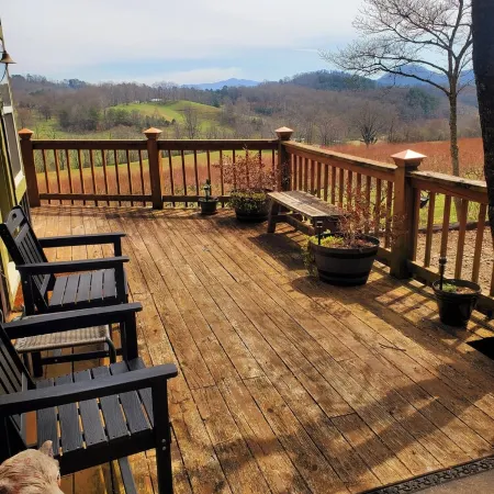 Mountain view cabin, fully remodeled, huge screen in porch with panoramic view. Hotels in Cowee