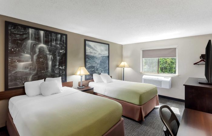 Super 8 by Wyndham Elkins