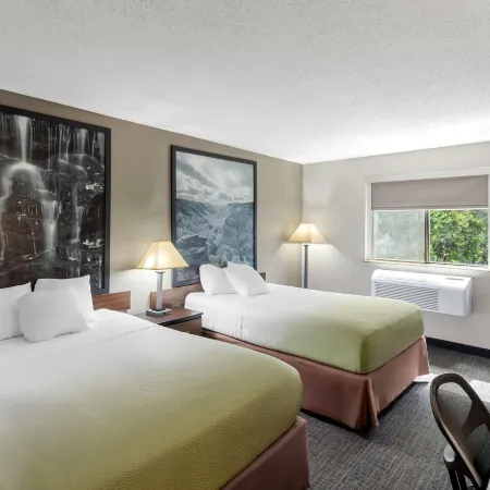 Super 8 by Wyndham Elkins