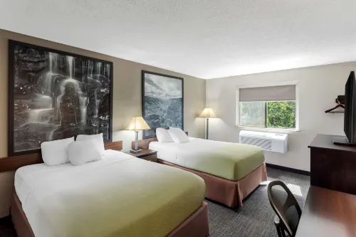 Super 8 by Wyndham Elkins - 2-Star