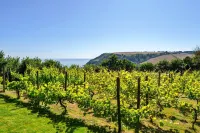 House With Private Vineyard - Hot Tub