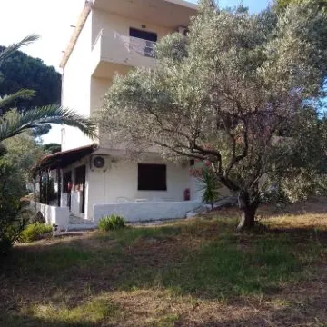 阿尼莫斯公寓酒店