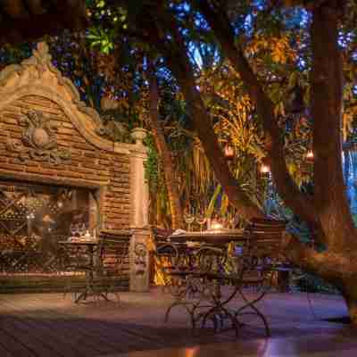 貓頭鷹之家飯店 Hotel Exterior