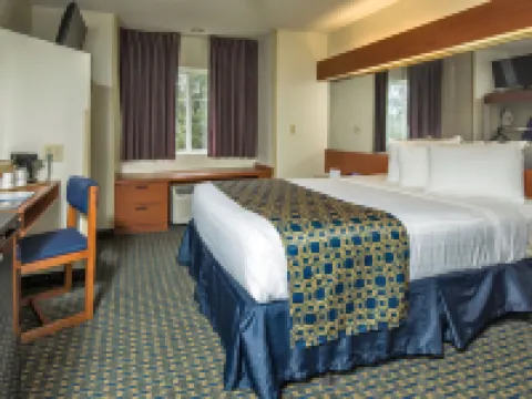 Microtel Inn & Suites by Wyndham Leesburg/Mt Dora Hotels in Lake County