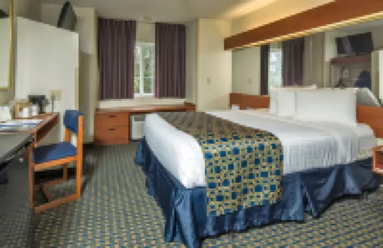 Microtel Inn & Suites by Wyndham Leesburg/Mt Dora