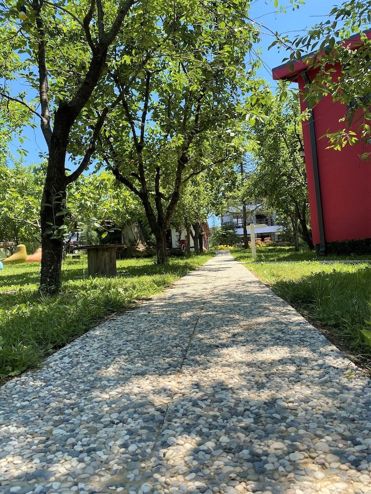 Rif Sapanca