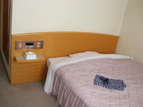Hatago Tsuruya Hotel Hotel di Komoro