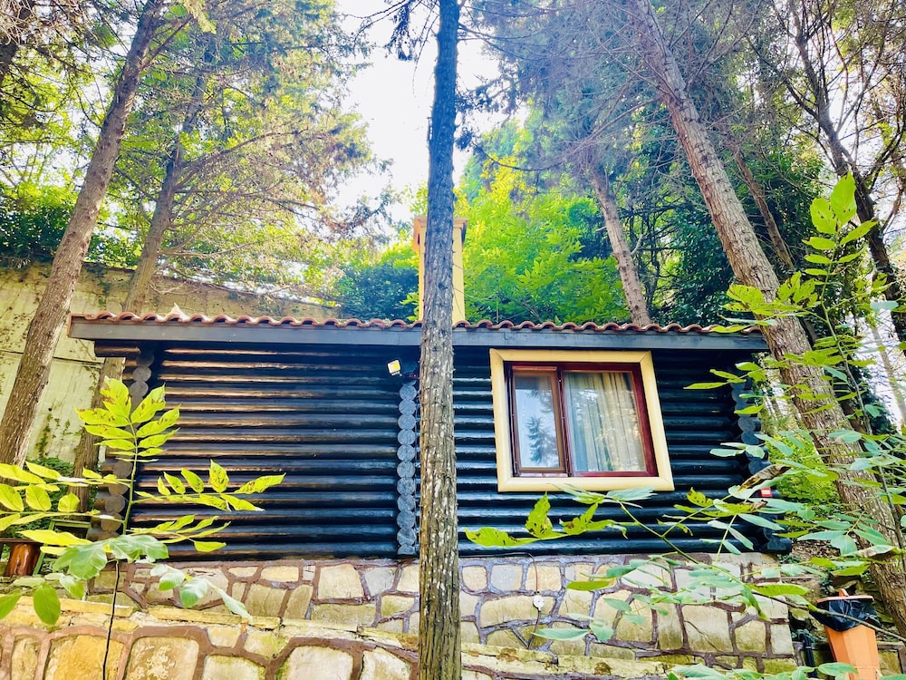 Ağva Orman Evleri Forest Lodge (Agva Orman Evleri Forest Lodge)