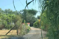 Rajana Bungalow - Ulcinj Doni stoj 호텔