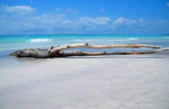 吹笛人酒店 洛斯格納諾瑪瑞提摩酒店