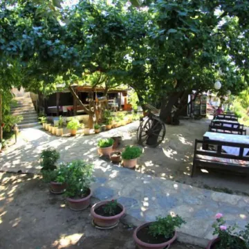 Salkim Konak Agac Evler