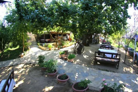 Salkim Konak Agac Evler