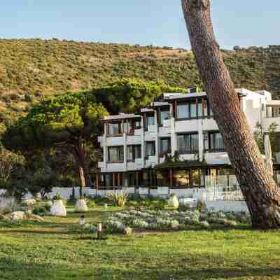 Hotel la Roya Hotel Exterior