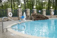 Holiday Inn Express & Suites LUFKIN SOUTH by IHG - Kolam Renang