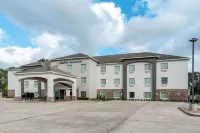 Comfort Inn & Suites Scott-West Lafayette Hotels in Rayne