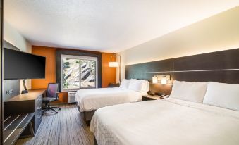 Holiday Inn Express & Suites Custer