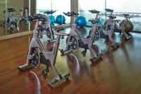 Hotel Arista - Gym