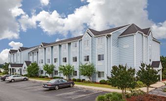 Microtel Inn & Suites by Wyndham Meridian