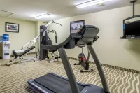 Quality Inn & Suites North Lima - Boardman - Gym