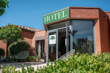 Hôtel & Séminaire Le Patio Occitan - 圖盧茲西部 - La Ramée