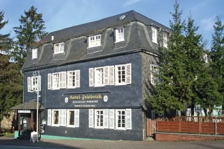 Hotel Friedrich Отели в г. Штайнебах-на-Виде