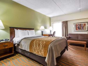 Comfort Inn Conyers