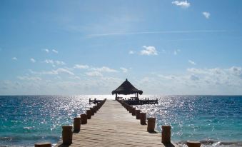 Desire Riviera Maya Pearl Resort All Inclusive - Couples Only