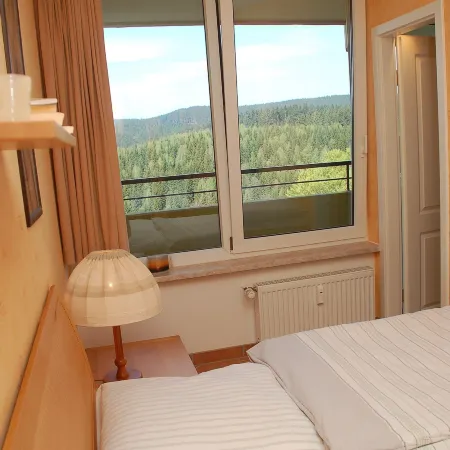 Panoramic Apartments Hohegeiß