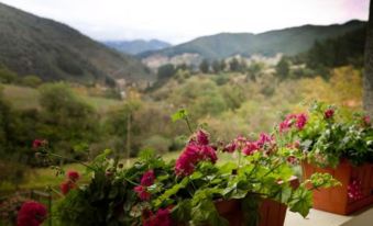 a balcony with a view of a lush green landscape , including mountains and trees , behind a variety of potted plants at Viviendas Rurales Traldega
