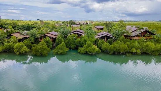 Mangrove View Resort