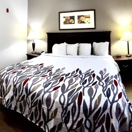 Red Roof Inn & Suites Midland