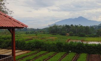 a large field of green plants with a red roof in the background and a mountain in the distance at Wisma BPI