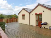 Dylan's Court