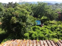 일 모나스테라초