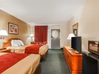Econo Lodge Hotels in Cullman County
