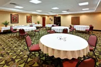 Holiday Inn Express & Suites Kingsport-Meadowview I-26 Các khách sạn ở Kingsport