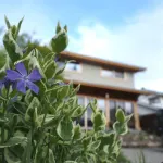 Canoa Hotels in Ikeda