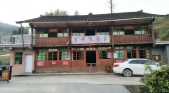 新化吉麗農家樂