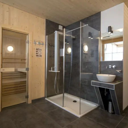 Premium # 01 IR-Sauna&Sprudelpool Aussen